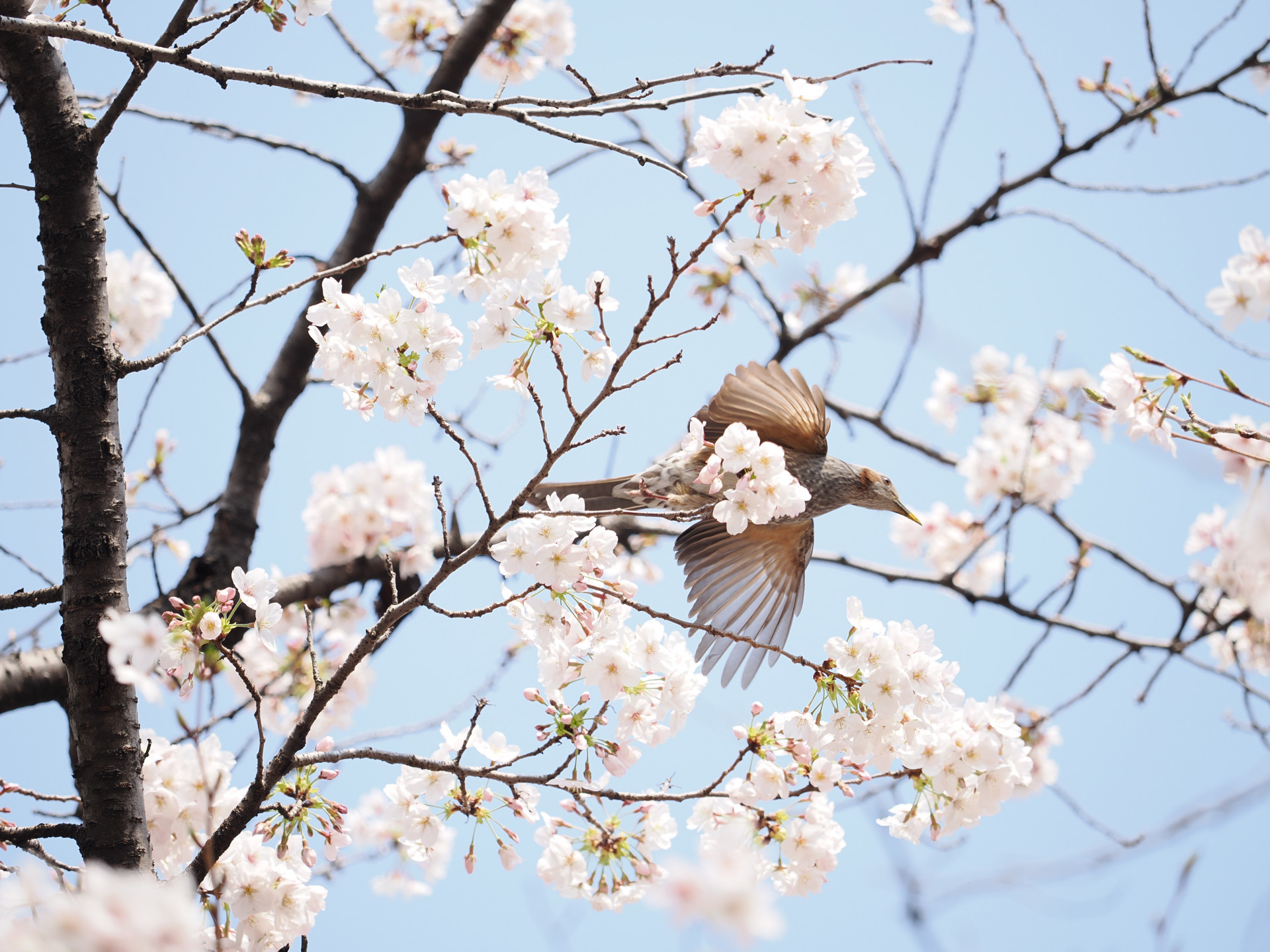 20260329_033541000_iOS 1